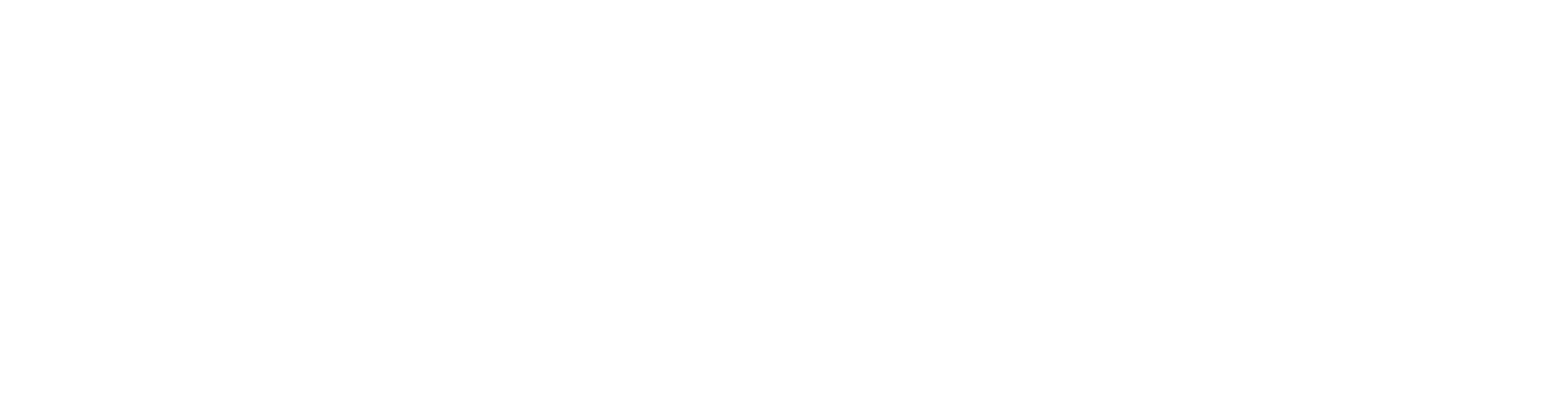 Logo Usługi DDD - Frodo Poznań